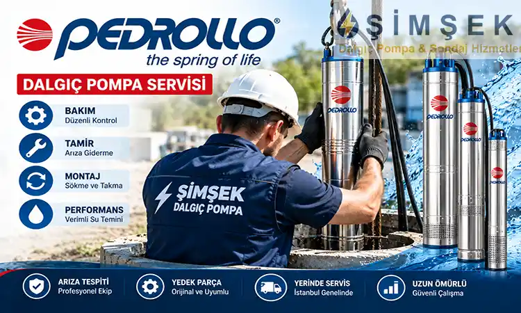 Pedrollo Dalgıç Pompa Servisi