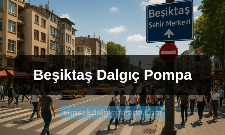 Beşiktaş Dalgıç Pompa