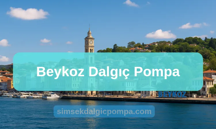 Beykoz Dalgıç Pompa