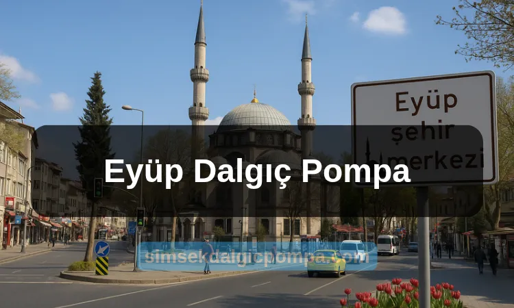 Eyüp Dalgıç Pompa
