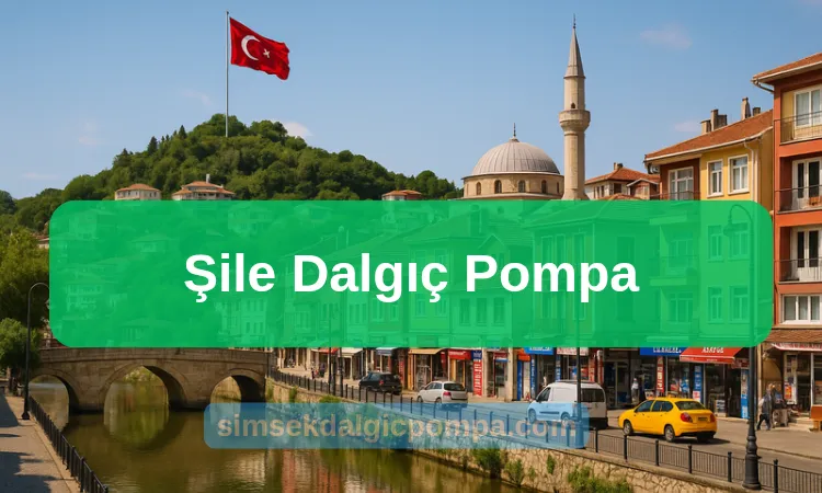 Şile Dalgıç Pompa