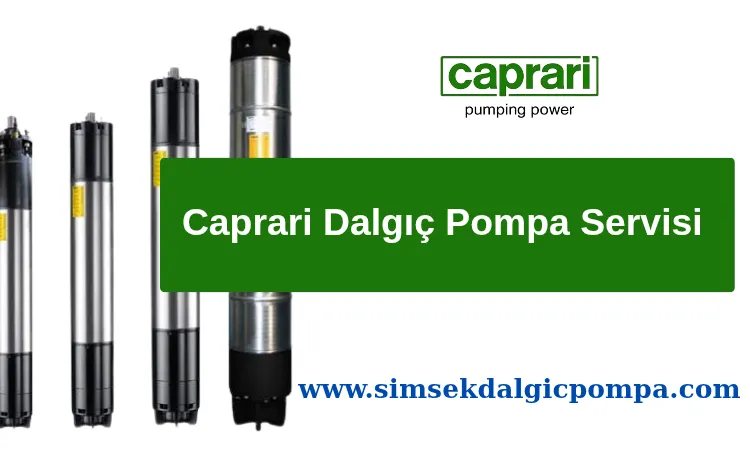 Caprari Dalgıç Pompa Servisi