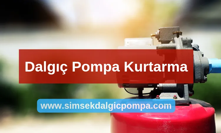 Dalgıç Pompa Kurtarma