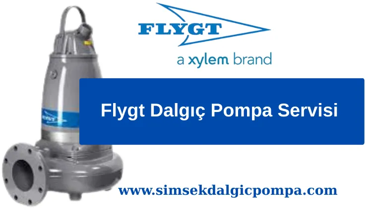 Flygt Dalgıç Pompa Servisi