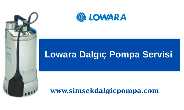 Lowara Dalgıç Pompa Servisi