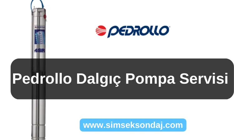 Pedrollo Dalgıç Pompa Servisi