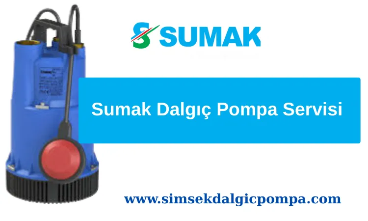 Sumak Dalgıç Pompa Servisi
