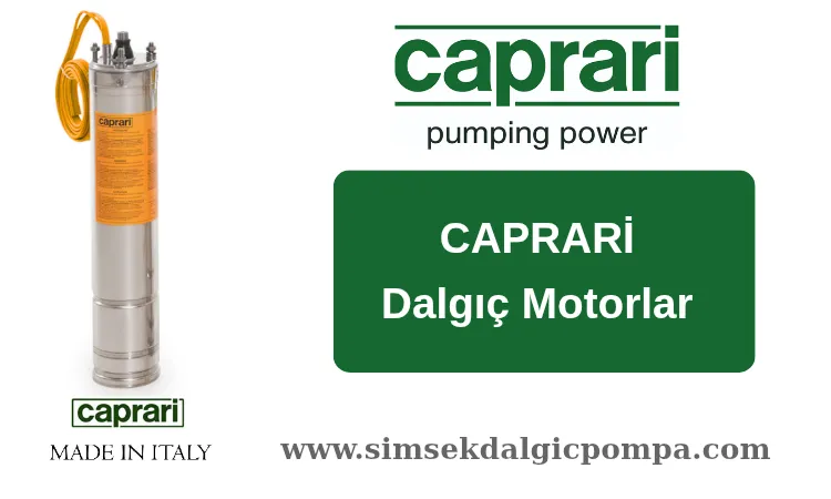 Caprari Dalgıç Motorlar