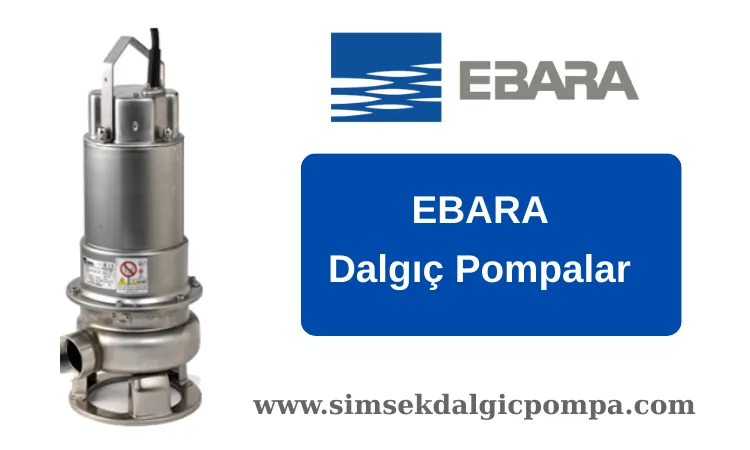 Ebara Dalgıç Pompa